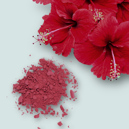 Hibiscus Flower Powder - 4oz