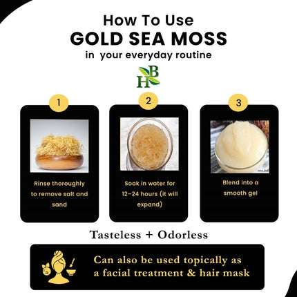 Gold Sea Moss (Dry) -  Wildcrafted From Caribbean 4oz