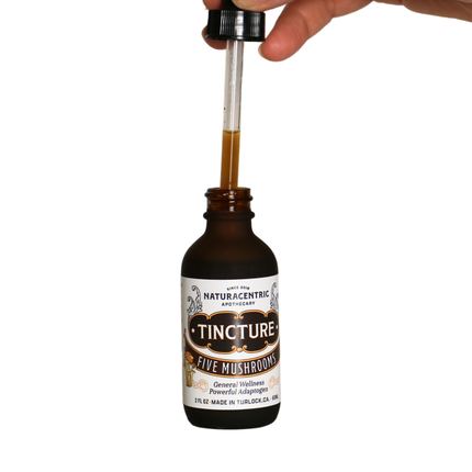 Five Mushrooms Tincture 2fl oz