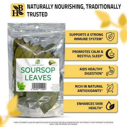 Organic Soursop Leaves 50g - Dried Leaf | Hoja De Guanabana
